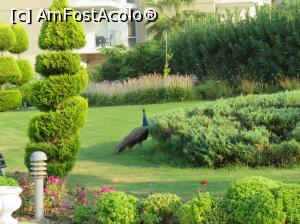 [P03] gradina » foto by Sibiu
 - 
<span class="allrVoted glyphicon glyphicon-heart hidden" id="av1060214"></span>
<a class="m-l-10 hidden" id="sv1060214" onclick="voting_Foto_DelVot(,1060214,226)" role="button">șterge vot <span class="glyphicon glyphicon-remove"></span></a>
<a id="v91060214" class=" c-red"  onclick="voting_Foto_SetVot(1060214)" role="button"><span class="glyphicon glyphicon-heart-empty"></span> <b>LIKE</b> = Votează poza</a> <img class="hidden"  id="f1060214W9" src="/imagini/loader.gif" border="0" /><span class="AjErrMes hidden" id="e1060214ErM"></span>