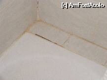 [P02]  -- <small>// FĂRĂ DESCRIERE</small> » foto by torres*
 - 
<span class="allrVoted glyphicon glyphicon-heart hidden" id="av1718"></span>
<a class="m-l-10 hidden" id="sv1718" onclick="voting_Foto_DelVot(,1718,226)" role="button">șterge vot <span class="glyphicon glyphicon-remove"></span></a>
<a id="v91718" class=" c-red"  onclick="voting_Foto_SetVot(1718)" role="button"><span class="glyphicon glyphicon-heart-empty"></span> <b>LIKE</b> = Votează poza</a> <img class="hidden"  id="f1718W9" src="/imagini/loader.gif" border="0" /><span class="AjErrMes hidden" id="e1718ErM"></span>