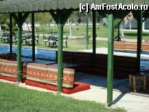 [P20]  -- <small>// FĂRĂ DESCRIERE</small> » foto by ryana2178
 - 
<span class="allrVoted glyphicon glyphicon-heart hidden" id="av7445"></span>
<a class="m-l-10 hidden" id="sv7445" onclick="voting_Foto_DelVot(,7445,226)" role="button">șterge vot <span class="glyphicon glyphicon-remove"></span></a>
<a id="v97445" class=" c-red"  onclick="voting_Foto_SetVot(7445)" role="button"><span class="glyphicon glyphicon-heart-empty"></span> <b>LIKE</b> = Votează poza</a> <img class="hidden"  id="f7445W9" src="/imagini/loader.gif" border="0" /><span class="AjErrMes hidden" id="e7445ErM"></span>