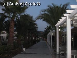 [P17]  -- <small>// FĂRĂ DESCRIERE</small> » foto by viviv
 - 
<span class="allrVoted glyphicon glyphicon-heart hidden" id="av953574"></span>
<a class="m-l-10 hidden" id="sv953574" onclick="voting_Foto_DelVot(,953574,226)" role="button">șterge vot <span class="glyphicon glyphicon-remove"></span></a>
<a id="v9953574" class=" c-red"  onclick="voting_Foto_SetVot(953574)" role="button"><span class="glyphicon glyphicon-heart-empty"></span> <b>LIKE</b> = Votează poza</a> <img class="hidden"  id="f953574W9" src="/imagini/loader.gif" border="0" /><span class="AjErrMes hidden" id="e953574ErM"></span>