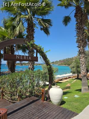 [P01]  -- <small>// FĂRĂ DESCRIERE</small> » foto by alexmara
 - 
<span class="allrVoted glyphicon glyphicon-heart hidden" id="av1497083"></span>
<a class="m-l-10 hidden" id="sv1497083" onclick="voting_Foto_DelVot(,1497083,233)" role="button">șterge vot <span class="glyphicon glyphicon-remove"></span></a>
<a id="v91497083" class=" c-red"  onclick="voting_Foto_SetVot(1497083)" role="button"><span class="glyphicon glyphicon-heart-empty"></span> <b>LIKE</b> = Votează poza</a> <img class="hidden"  id="f1497083W9" src="/imagini/loader.gif" border="0" /><span class="AjErrMes hidden" id="e1497083ErM"></span>