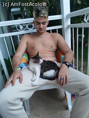 [P01] Pe balcon aveai vizitatori » foto by cosmin radu
 - 
<span class="allrVoted glyphicon glyphicon-heart hidden" id="av1262498"></span>
<a class="m-l-10 hidden" id="sv1262498" onclick="voting_Foto_DelVot(,1262498,260)" role="button">șterge vot <span class="glyphicon glyphicon-remove"></span></a>
<a id="v91262498" class=" c-red"  onclick="voting_Foto_SetVot(1262498)" role="button"><span class="glyphicon glyphicon-heart-empty"></span> <b>LIKE</b> = Votează poza</a> <img class="hidden"  id="f1262498W9" src="/imagini/loader.gif" border="0" /><span class="AjErrMes hidden" id="e1262498ErM"></span>