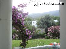 [P01] Vedere in spate, la gradina...dar super ok » foto by olivial
 - 
<span class="allrVoted glyphicon glyphicon-heart hidden" id="av205690"></span>
<a class="m-l-10 hidden" id="sv205690" onclick="voting_Foto_DelVot(,205690,265)" role="button">șterge vot <span class="glyphicon glyphicon-remove"></span></a>
<a id="v9205690" class=" c-red"  onclick="voting_Foto_SetVot(205690)" role="button"><span class="glyphicon glyphicon-heart-empty"></span> <b>LIKE</b> = Votează poza</a> <img class="hidden"  id="f205690W9" src="/imagini/loader.gif" border="0" /><span class="AjErrMes hidden" id="e205690ErM"></span>