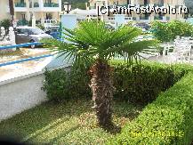[P12] parcarea noastra si hotelul » foto by raduu1972
 - 
<span class="allrVoted glyphicon glyphicon-heart hidden" id="av90905"></span>
<a class="m-l-10 hidden" id="sv90905" onclick="voting_Foto_DelVot(,90905,360)" role="button">șterge vot <span class="glyphicon glyphicon-remove"></span></a>
<a id="v990905" class=" c-red"  onclick="voting_Foto_SetVot(90905)" role="button"><span class="glyphicon glyphicon-heart-empty"></span> <b>LIKE</b> = Votează poza</a> <img class="hidden"  id="f90905W9" src="/imagini/loader.gif" border="0" /><span class="AjErrMes hidden" id="e90905ErM"></span>