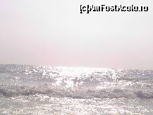 [P10] Marea Egee e mai mereu involburata si manioasa... » foto by camila1968
 - 
<span class="allrVoted glyphicon glyphicon-heart hidden" id="av95454"></span>
<a class="m-l-10 hidden" id="sv95454" onclick="voting_Foto_DelVot(,95454,366)" role="button">șterge vot <span class="glyphicon glyphicon-remove"></span></a>
<a id="v995454" class=" c-red"  onclick="voting_Foto_SetVot(95454)" role="button"><span class="glyphicon glyphicon-heart-empty"></span> <b>LIKE</b> = Votează poza</a> <img class="hidden"  id="f95454W9" src="/imagini/loader.gif" border="0" /><span class="AjErrMes hidden" id="e95454ErM"></span>