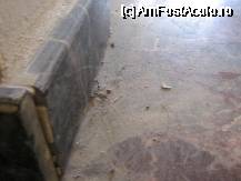 [P06]  -- <small>// FĂRĂ DESCRIERE</small> » foto by helen39
 - 
<span class="allrVoted glyphicon glyphicon-heart hidden" id="av62704"></span>
<a class="m-l-10 hidden" id="sv62704" onclick="voting_Foto_DelVot(,62704,366)" role="button">șterge vot <span class="glyphicon glyphicon-remove"></span></a>
<a id="v962704" class=" c-red"  onclick="voting_Foto_SetVot(62704)" role="button"><span class="glyphicon glyphicon-heart-empty"></span> <b>LIKE</b> = Votează poza</a> <img class="hidden"  id="f62704W9" src="/imagini/loader.gif" border="0" /><span class="AjErrMes hidden" id="e62704ErM"></span>