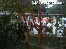 [P51] Vedere spre Pool-Bar ! tipul in roz e barmanul-sef ! » foto by bigu_2006_rapid
 - 
<span class="allrVoted glyphicon glyphicon-heart hidden" id="av249755"></span>
<a class="m-l-10 hidden" id="sv249755" onclick="voting_Foto_DelVot(,249755,366)" role="button">șterge vot <span class="glyphicon glyphicon-remove"></span></a>
<a id="v9249755" class=" c-red"  onclick="voting_Foto_SetVot(249755)" role="button"><span class="glyphicon glyphicon-heart-empty"></span> <b>LIKE</b> = Votează poza</a> <img class="hidden"  id="f249755W9" src="/imagini/loader.gif" border="0" /><span class="AjErrMes hidden" id="e249755ErM"></span>