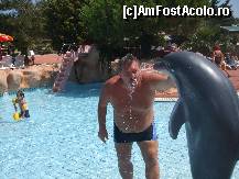 [P17] Ma cam stropeste delfinul asta ! » foto by bigu_2006_rapid
 - 
<span class="allrVoted glyphicon glyphicon-heart hidden" id="av15911"></span>
<a class="m-l-10 hidden" id="sv15911" onclick="voting_Foto_DelVot(,15911,366)" role="button">șterge vot <span class="glyphicon glyphicon-remove"></span></a>
<a id="v915911" class=" c-red"  onclick="voting_Foto_SetVot(15911)" role="button"><span class="glyphicon glyphicon-heart-empty"></span> <b>LIKE</b> = Votează poza</a> <img class="hidden"  id="f15911W9" src="/imagini/loader.gif" border="0" /><span class="AjErrMes hidden" id="e15911ErM"></span>