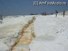 [P06] Rabdarea si puterea picaturii de  apa. » foto by Ana Venera
 - 
<span class="allrVoted glyphicon glyphicon-heart hidden" id="av97069"></span>
<a class="m-l-10 hidden" id="sv97069" onclick="voting_Foto_DelVot(,97069,366)" role="button">șterge vot <span class="glyphicon glyphicon-remove"></span></a>
<a id="v997069" class=" c-red"  onclick="voting_Foto_SetVot(97069)" role="button"><span class="glyphicon glyphicon-heart-empty"></span> <b>LIKE</b> = Votează poza</a> <img class="hidden"  id="f97069W9" src="/imagini/loader.gif" border="0" /><span class="AjErrMes hidden" id="e97069ErM"></span>