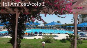 [P10] Desert Rose-piscina olimpica » foto by Ode19
 - 
<span class="allrVoted glyphicon glyphicon-heart hidden" id="av1097584"></span>
<a class="m-l-10 hidden" id="sv1097584" onclick="voting_Foto_DelVot(,1097584,394)" role="button">șterge vot <span class="glyphicon glyphicon-remove"></span></a>
<a id="v91097584" class=" c-red"  onclick="voting_Foto_SetVot(1097584)" role="button"><span class="glyphicon glyphicon-heart-empty"></span> <b>LIKE</b> = Votează poza</a> <img class="hidden"  id="f1097584W9" src="/imagini/loader.gif" border="0" /><span class="AjErrMes hidden" id="e1097584ErM"></span>