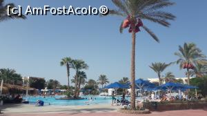 [P13] Piscina copii » foto by Ode19
 - 
<span class="allrVoted glyphicon glyphicon-heart hidden" id="av1097589"></span>
<a class="m-l-10 hidden" id="sv1097589" onclick="voting_Foto_DelVot(,1097589,394)" role="button">șterge vot <span class="glyphicon glyphicon-remove"></span></a>
<a id="v91097589" class=" c-red"  onclick="voting_Foto_SetVot(1097589)" role="button"><span class="glyphicon glyphicon-heart-empty"></span> <b>LIKE</b> = Votează poza</a> <img class="hidden"  id="f1097589W9" src="/imagini/loader.gif" border="0" /><span class="AjErrMes hidden" id="e1097589ErM"></span>