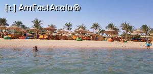 [P03] Plaja-o mica parte-Desert Rose » foto by Ode19
 - 
<span class="allrVoted glyphicon glyphicon-heart hidden" id="av1097567"></span>
<a class="m-l-10 hidden" id="sv1097567" onclick="voting_Foto_DelVot(,1097567,394)" role="button">șterge vot <span class="glyphicon glyphicon-remove"></span></a>
<a id="v91097567" class=" c-red"  onclick="voting_Foto_SetVot(1097567)" role="button"><span class="glyphicon glyphicon-heart-empty"></span> <b>LIKE</b> = Votează poza</a> <img class="hidden"  id="f1097567W9" src="/imagini/loader.gif" border="0" /><span class="AjErrMes hidden" id="e1097567ErM"></span>