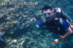 [P15] Excursie optionala Diving » foto by raducondurache
 - 
<span class="allrVoted glyphicon glyphicon-heart hidden" id="av998623"></span>
<a class="m-l-10 hidden" id="sv998623" onclick="voting_Foto_DelVot(,998623,394)" role="button">șterge vot <span class="glyphicon glyphicon-remove"></span></a>
<a id="v9998623" class=" c-red"  onclick="voting_Foto_SetVot(998623)" role="button"><span class="glyphicon glyphicon-heart-empty"></span> <b>LIKE</b> = Votează poza</a> <img class="hidden"  id="f998623W9" src="/imagini/loader.gif" border="0" /><span class="AjErrMes hidden" id="e998623ErM"></span>
