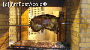 [P21] astazi la cina avem miel la protap JJJ » foto by raducondurache
 - 
<span class="allrVoted glyphicon glyphicon-heart hidden" id="av998629"></span>
<a class="m-l-10 hidden" id="sv998629" onclick="voting_Foto_DelVot(,998629,394)" role="button">șterge vot <span class="glyphicon glyphicon-remove"></span></a>
<a id="v9998629" class=" c-red"  onclick="voting_Foto_SetVot(998629)" role="button"><span class="glyphicon glyphicon-heart-empty"></span> <b>LIKE</b> = Votează poza</a> <img class="hidden"  id="f998629W9" src="/imagini/loader.gif" border="0" /><span class="AjErrMes hidden" id="e998629ErM"></span>
