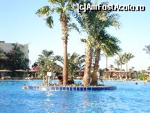 [P02] Una din cele 3 piscine ale complexului » foto by symonel79
 - 
<span class="allrVoted glyphicon glyphicon-heart hidden" id="av157113"></span>
<a class="m-l-10 hidden" id="sv157113" onclick="voting_Foto_DelVot(,157113,394)" role="button">șterge vot <span class="glyphicon glyphicon-remove"></span></a>
<a id="v9157113" class=" c-red"  onclick="voting_Foto_SetVot(157113)" role="button"><span class="glyphicon glyphicon-heart-empty"></span> <b>LIKE</b> = Votează poza</a> <img class="hidden"  id="f157113W9" src="/imagini/loader.gif" border="0" /><span class="AjErrMes hidden" id="e157113ErM"></span>