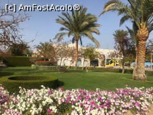 [P02] Desert Rose Hurghada » foto by AZE
 - 
<span class="allrVoted glyphicon glyphicon-heart hidden" id="av1221833"></span>
<a class="m-l-10 hidden" id="sv1221833" onclick="voting_Foto_DelVot(,1221833,394)" role="button">șterge vot <span class="glyphicon glyphicon-remove"></span></a>
<a id="v91221833" class=" c-red"  onclick="voting_Foto_SetVot(1221833)" role="button"><span class="glyphicon glyphicon-heart-empty"></span> <b>LIKE</b> = Votează poza</a> <img class="hidden"  id="f1221833W9" src="/imagini/loader.gif" border="0" /><span class="AjErrMes hidden" id="e1221833ErM"></span>