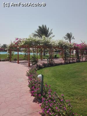 [P04]  -- <small>// FĂRĂ DESCRIERE</small> » foto by NNADIA
 - 
<span class="allrVoted glyphicon glyphicon-heart hidden" id="av904153"></span>
<a class="m-l-10 hidden" id="sv904153" onclick="voting_Foto_DelVot(,904153,394)" role="button">șterge vot <span class="glyphicon glyphicon-remove"></span></a>
<a id="v9904153" class=" c-red"  onclick="voting_Foto_SetVot(904153)" role="button"><span class="glyphicon glyphicon-heart-empty"></span> <b>LIKE</b> = Votează poza</a> <img class="hidden"  id="f904153W9" src="/imagini/loader.gif" border="0" /><span class="AjErrMes hidden" id="e904153ErM"></span>