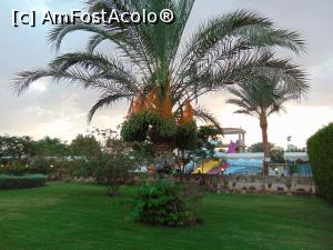 [P03]  -- <small>// FĂRĂ DESCRIERE</small> » foto by lcarpi
 - 
<span class="allrVoted glyphicon glyphicon-heart hidden" id="av972943"></span>
<a class="m-l-10 hidden" id="sv972943" onclick="voting_Foto_DelVot(,972943,394)" role="button">șterge vot <span class="glyphicon glyphicon-remove"></span></a>
<a id="v9972943" class=" c-red"  onclick="voting_Foto_SetVot(972943)" role="button"><span class="glyphicon glyphicon-heart-empty"></span> <b>LIKE</b> = Votează poza</a> <img class="hidden"  id="f972943W9" src="/imagini/loader.gif" border="0" /><span class="AjErrMes hidden" id="e972943ErM"></span>