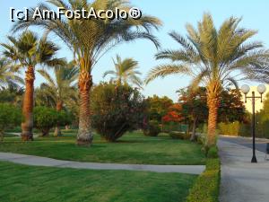 [P05]  -- <small>// FĂRĂ DESCRIERE</small> » foto by lcarpi
 - 
<span class="allrVoted glyphicon glyphicon-heart hidden" id="av972945"></span>
<a class="m-l-10 hidden" id="sv972945" onclick="voting_Foto_DelVot(,972945,394)" role="button">șterge vot <span class="glyphicon glyphicon-remove"></span></a>
<a id="v9972945" class=" c-red"  onclick="voting_Foto_SetVot(972945)" role="button"><span class="glyphicon glyphicon-heart-empty"></span> <b>LIKE</b> = Votează poza</a> <img class="hidden"  id="f972945W9" src="/imagini/loader.gif" border="0" /><span class="AjErrMes hidden" id="e972945ErM"></span>