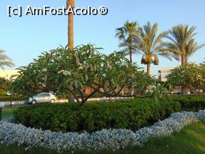 [P07]  -- <small>// FĂRĂ DESCRIERE</small> » foto by lcarpi
 - 
<span class="allrVoted glyphicon glyphicon-heart hidden" id="av972947"></span>
<a class="m-l-10 hidden" id="sv972947" onclick="voting_Foto_DelVot(,972947,394)" role="button">șterge vot <span class="glyphicon glyphicon-remove"></span></a>
<a id="v9972947" class=" c-red"  onclick="voting_Foto_SetVot(972947)" role="button"><span class="glyphicon glyphicon-heart-empty"></span> <b>LIKE</b> = Votează poza</a> <img class="hidden"  id="f972947W9" src="/imagini/loader.gif" border="0" /><span class="AjErrMes hidden" id="e972947ErM"></span>