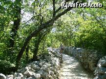 [P06] drumul de coborire catre plaja » foto by skippy
 - 
<span class="allrVoted glyphicon glyphicon-heart hidden" id="av194414"></span>
<a class="m-l-10 hidden" id="sv194414" onclick="voting_Foto_DelVot(,194414,399)" role="button">șterge vot <span class="glyphicon glyphicon-remove"></span></a>
<a id="v9194414" class=" c-red"  onclick="voting_Foto_SetVot(194414)" role="button"><span class="glyphicon glyphicon-heart-empty"></span> <b>LIKE</b> = Votează poza</a> <img class="hidden"  id="f194414W9" src="/imagini/loader.gif" border="0" /><span class="AjErrMes hidden" id="e194414ErM"></span>