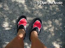 [P07] fara papuci din astia nu prea faci mare lucru pe plajele stincoase mai ales ca acolo stau de obicei si aricii de mare » foto by skippy
 - 
<span class="allrVoted glyphicon glyphicon-heart hidden" id="av194415"></span>
<a class="m-l-10 hidden" id="sv194415" onclick="voting_Foto_DelVot(,194415,399)" role="button">șterge vot <span class="glyphicon glyphicon-remove"></span></a>
<a id="v9194415" class=" c-red"  onclick="voting_Foto_SetVot(194415)" role="button"><span class="glyphicon glyphicon-heart-empty"></span> <b>LIKE</b> = Votează poza</a> <img class="hidden"  id="f194415W9" src="/imagini/loader.gif" border="0" /><span class="AjErrMes hidden" id="e194415ErM"></span>