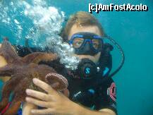 [P09] la joaca cu o caracatita » foto by skippy
 - 
<span class="allrVoted glyphicon glyphicon-heart hidden" id="av194417"></span>
<a class="m-l-10 hidden" id="sv194417" onclick="voting_Foto_DelVot(,194417,399)" role="button">șterge vot <span class="glyphicon glyphicon-remove"></span></a>
<a id="v9194417" class=" c-red"  onclick="voting_Foto_SetVot(194417)" role="button"><span class="glyphicon glyphicon-heart-empty"></span> <b>LIKE</b> = Votează poza</a> <img class="hidden"  id="f194417W9" src="/imagini/loader.gif" border="0" /><span class="AjErrMes hidden" id="e194417ErM"></span>