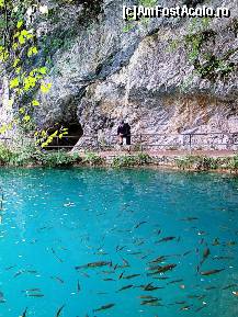 [P16] Apa este ireal de limpede » foto by badge®
 - 
<span class="allrVoted glyphicon glyphicon-heart hidden" id="av174427"></span>
<a class="m-l-10 hidden" id="sv174427" onclick="voting_Foto_DelVot(,174427,412)" role="button">șterge vot <span class="glyphicon glyphicon-remove"></span></a>
<a id="v9174427" class=" c-red"  onclick="voting_Foto_SetVot(174427)" role="button"><span class="glyphicon glyphicon-heart-empty"></span> <b>LIKE</b> = Votează poza</a> <img class="hidden"  id="f174427W9" src="/imagini/loader.gif" border="0" /><span class="AjErrMes hidden" id="e174427ErM"></span>