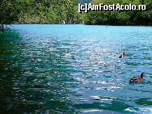 [P17] Parcul Naţional Plitvička Jezera » foto by badge®
 - 
<span class="allrVoted glyphicon glyphicon-heart hidden" id="av174428"></span>
<a class="m-l-10 hidden" id="sv174428" onclick="voting_Foto_DelVot(,174428,412)" role="button">șterge vot <span class="glyphicon glyphicon-remove"></span></a>
<a id="v9174428" class=" c-red"  onclick="voting_Foto_SetVot(174428)" role="button"><span class="glyphicon glyphicon-heart-empty"></span> <b>LIKE</b> = Votează poza</a> <img class="hidden"  id="f174428W9" src="/imagini/loader.gif" border="0" /><span class="AjErrMes hidden" id="e174428ErM"></span>