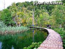 [P04] Parcul Naţional Plitvička Jezera » foto by badge®
 - 
<span class="allrVoted glyphicon glyphicon-heart hidden" id="av174412"></span>
<a class="m-l-10 hidden" id="sv174412" onclick="voting_Foto_DelVot(,174412,412)" role="button">șterge vot <span class="glyphicon glyphicon-remove"></span></a>
<a id="v9174412" class=" c-red"  onclick="voting_Foto_SetVot(174412)" role="button"><span class="glyphicon glyphicon-heart-empty"></span> <b>LIKE</b> = Votează poza</a> <img class="hidden"  id="f174412W9" src="/imagini/loader.gif" border="0" /><span class="AjErrMes hidden" id="e174412ErM"></span>