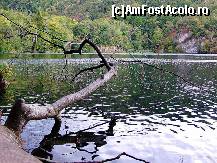 [P05] Parcul Naţional Plitvička Jezera » foto by badge®
 - 
<span class="allrVoted glyphicon glyphicon-heart hidden" id="av174413"></span>
<a class="m-l-10 hidden" id="sv174413" onclick="voting_Foto_DelVot(,174413,412)" role="button">șterge vot <span class="glyphicon glyphicon-remove"></span></a>
<a id="v9174413" class=" c-red"  onclick="voting_Foto_SetVot(174413)" role="button"><span class="glyphicon glyphicon-heart-empty"></span> <b>LIKE</b> = Votează poza</a> <img class="hidden"  id="f174413W9" src="/imagini/loader.gif" border="0" /><span class="AjErrMes hidden" id="e174413ErM"></span>