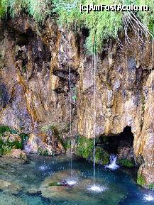 [P08] Parcul Naţional Plitvička Jezera » foto by badge®
 - 
<span class="allrVoted glyphicon glyphicon-heart hidden" id="av174417"></span>
<a class="m-l-10 hidden" id="sv174417" onclick="voting_Foto_DelVot(,174417,412)" role="button">șterge vot <span class="glyphicon glyphicon-remove"></span></a>
<a id="v9174417" class=" c-red"  onclick="voting_Foto_SetVot(174417)" role="button"><span class="glyphicon glyphicon-heart-empty"></span> <b>LIKE</b> = Votează poza</a> <img class="hidden"  id="f174417W9" src="/imagini/loader.gif" border="0" /><span class="AjErrMes hidden" id="e174417ErM"></span>