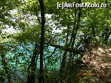 [P10] un point view pt curajosi » foto by andreea72
 - 
<span class="allrVoted glyphicon glyphicon-heart hidden" id="av498162"></span>
<a class="m-l-10 hidden" id="sv498162" onclick="voting_Foto_DelVot(,498162,412)" role="button">șterge vot <span class="glyphicon glyphicon-remove"></span></a>
<a id="v9498162" class=" c-red"  onclick="voting_Foto_SetVot(498162)" role="button"><span class="glyphicon glyphicon-heart-empty"></span> <b>LIKE</b> = Votează poza</a> <img class="hidden"  id="f498162W9" src="/imagini/loader.gif" border="0" /><span class="AjErrMes hidden" id="e498162ErM"></span>