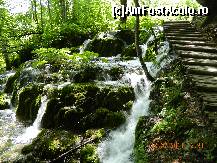 [P11] nu e minunat?  » foto by andreea72
 - 
<span class="allrVoted glyphicon glyphicon-heart hidden" id="av498163"></span>
<a class="m-l-10 hidden" id="sv498163" onclick="voting_Foto_DelVot(,498163,412)" role="button">șterge vot <span class="glyphicon glyphicon-remove"></span></a>
<a id="v9498163" class=" c-red"  onclick="voting_Foto_SetVot(498163)" role="button"><span class="glyphicon glyphicon-heart-empty"></span> <b>LIKE</b> = Votează poza</a> <img class="hidden"  id="f498163W9" src="/imagini/loader.gif" border="0" /><span class="AjErrMes hidden" id="e498163ErM"></span>