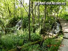 [P07] cascade peste tot, mici si mari » foto by andreea72
 - 
<span class="allrVoted glyphicon glyphicon-heart hidden" id="av498157"></span>
<a class="m-l-10 hidden" id="sv498157" onclick="voting_Foto_DelVot(,498157,412)" role="button">șterge vot <span class="glyphicon glyphicon-remove"></span></a>
<a id="v9498157" class=" c-red"  onclick="voting_Foto_SetVot(498157)" role="button"><span class="glyphicon glyphicon-heart-empty"></span> <b>LIKE</b> = Votează poza</a> <img class="hidden"  id="f498157W9" src="/imagini/loader.gif" border="0" /><span class="AjErrMes hidden" id="e498157ErM"></span>