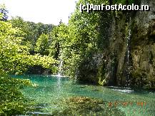 [P09] racoare in zi de vara » foto by andreea72
 - 
<span class="allrVoted glyphicon glyphicon-heart hidden" id="av498160"></span>
<a class="m-l-10 hidden" id="sv498160" onclick="voting_Foto_DelVot(,498160,412)" role="button">șterge vot <span class="glyphicon glyphicon-remove"></span></a>
<a id="v9498160" class=" c-red"  onclick="voting_Foto_SetVot(498160)" role="button"><span class="glyphicon glyphicon-heart-empty"></span> <b>LIKE</b> = Votează poza</a> <img class="hidden"  id="f498160W9" src="/imagini/loader.gif" border="0" /><span class="AjErrMes hidden" id="e498160ErM"></span>