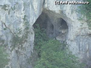 [P16] Pestera Supljara » foto by Marian Preda
 - 
<span class="allrVoted glyphicon glyphicon-heart hidden" id="av560976"></span>
<a class="m-l-10 hidden" id="sv560976" onclick="voting_Foto_DelVot(,560976,412)" role="button">șterge vot <span class="glyphicon glyphicon-remove"></span></a>
<a id="v9560976" class=" c-red"  onclick="voting_Foto_SetVot(560976)" role="button"><span class="glyphicon glyphicon-heart-empty"></span> <b>LIKE</b> = Votează poza</a> <img class="hidden"  id="f560976W9" src="/imagini/loader.gif" border="0" /><span class="AjErrMes hidden" id="e560976ErM"></span>