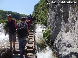 [P26] Un taram fara... bariere! :)  » foto by Marian Preda
 - 
<span class="allrVoted glyphicon glyphicon-heart hidden" id="av560986"></span>
<a class="m-l-10 hidden" id="sv560986" onclick="voting_Foto_DelVot(,560986,412)" role="button">șterge vot <span class="glyphicon glyphicon-remove"></span></a>
<a id="v9560986" class=" c-red"  onclick="voting_Foto_SetVot(560986)" role="button"><span class="glyphicon glyphicon-heart-empty"></span> <b>LIKE</b> = Votează poza</a> <img class="hidden"  id="f560986W9" src="/imagini/loader.gif" border="0" /><span class="AjErrMes hidden" id="e560986ErM"></span>