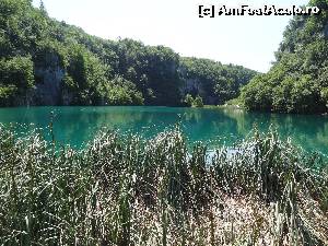 [P28] Spre Pestera Supljara » foto by Marian Preda
 - 
<span class="allrVoted glyphicon glyphicon-heart hidden" id="av560988"></span>
<a class="m-l-10 hidden" id="sv560988" onclick="voting_Foto_DelVot(,560988,412)" role="button">șterge vot <span class="glyphicon glyphicon-remove"></span></a>
<a id="v9560988" class=" c-red"  onclick="voting_Foto_SetVot(560988)" role="button"><span class="glyphicon glyphicon-heart-empty"></span> <b>LIKE</b> = Votează poza</a> <img class="hidden"  id="f560988W9" src="/imagini/loader.gif" border="0" /><span class="AjErrMes hidden" id="e560988ErM"></span>