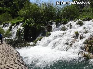 [P34] Eiii, ce involburareeeeee!  » foto by Marian Preda
 - 
<span class="allrVoted glyphicon glyphicon-heart hidden" id="av560994"></span>
<a class="m-l-10 hidden" id="sv560994" onclick="voting_Foto_DelVot(,560994,412)" role="button">șterge vot <span class="glyphicon glyphicon-remove"></span></a>
<a id="v9560994" class=" c-red"  onclick="voting_Foto_SetVot(560994)" role="button"><span class="glyphicon glyphicon-heart-empty"></span> <b>LIKE</b> = Votează poza</a> <img class="hidden"  id="f560994W9" src="/imagini/loader.gif" border="0" /><span class="AjErrMes hidden" id="e560994ErM"></span>