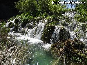 [P36] taram de basm » foto by Marian Preda
 - 
<span class="allrVoted glyphicon glyphicon-heart hidden" id="av560998"></span>
<a class="m-l-10 hidden" id="sv560998" onclick="voting_Foto_DelVot(,560998,412)" role="button">șterge vot <span class="glyphicon glyphicon-remove"></span></a>
<a id="v9560998" class=" c-red"  onclick="voting_Foto_SetVot(560998)" role="button"><span class="glyphicon glyphicon-heart-empty"></span> <b>LIKE</b> = Votează poza</a> <img class="hidden"  id="f560998W9" src="/imagini/loader.gif" border="0" /><span class="AjErrMes hidden" id="e560998ErM"></span>