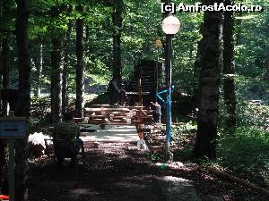 [P04] Podisca peste sosea... in constructie!  » foto by Marian Preda
 - 
<span class="allrVoted glyphicon glyphicon-heart hidden" id="av560954"></span>
<a class="m-l-10 hidden" id="sv560954" onclick="voting_Foto_DelVot(,560954,412)" role="button">șterge vot <span class="glyphicon glyphicon-remove"></span></a>
<a id="v9560954" class=" c-red"  onclick="voting_Foto_SetVot(560954)" role="button"><span class="glyphicon glyphicon-heart-empty"></span> <b>LIKE</b> = Votează poza</a> <img class="hidden"  id="f560954W9" src="/imagini/loader.gif" border="0" /><span class="AjErrMes hidden" id="e560954ErM"></span>