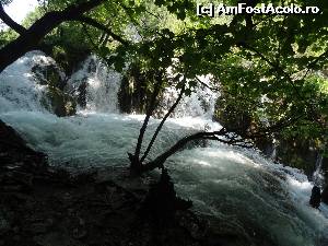 [P44] Fantasmagorie?  » foto by Marian Preda
 - 
<span class="allrVoted glyphicon glyphicon-heart hidden" id="av561017"></span>
<a class="m-l-10 hidden" id="sv561017" onclick="voting_Foto_DelVot(,561017,412)" role="button">șterge vot <span class="glyphicon glyphicon-remove"></span></a>
<a id="v9561017" class=" c-red"  onclick="voting_Foto_SetVot(561017)" role="button"><span class="glyphicon glyphicon-heart-empty"></span> <b>LIKE</b> = Votează poza</a> <img class="hidden"  id="f561017W9" src="/imagini/loader.gif" border="0" /><span class="AjErrMes hidden" id="e561017ErM"></span>