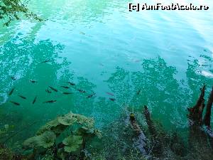 [P46] Ce culoare ireala?!  » foto by Marian Preda
 - 
<span class="allrVoted glyphicon glyphicon-heart hidden" id="av561019"></span>
<a class="m-l-10 hidden" id="sv561019" onclick="voting_Foto_DelVot(,561019,412)" role="button">șterge vot <span class="glyphicon glyphicon-remove"></span></a>
<a id="v9561019" class=" c-red"  onclick="voting_Foto_SetVot(561019)" role="button"><span class="glyphicon glyphicon-heart-empty"></span> <b>LIKE</b> = Votează poza</a> <img class="hidden"  id="f561019W9" src="/imagini/loader.gif" border="0" /><span class="AjErrMes hidden" id="e561019ErM"></span>