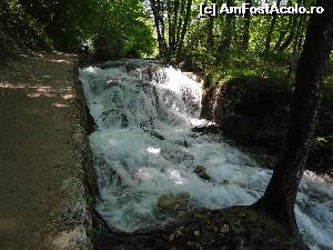 [P49]  -- <small>// FĂRĂ DESCRIERE</small> » foto by Marian Preda
 - 
<span class="allrVoted glyphicon glyphicon-heart hidden" id="av561022"></span>
<a class="m-l-10 hidden" id="sv561022" onclick="voting_Foto_DelVot(,561022,412)" role="button">șterge vot <span class="glyphicon glyphicon-remove"></span></a>
<a id="v9561022" class=" c-red"  onclick="voting_Foto_SetVot(561022)" role="button"><span class="glyphicon glyphicon-heart-empty"></span> <b>LIKE</b> = Votează poza</a> <img class="hidden"  id="f561022W9" src="/imagini/loader.gif" border="0" /><span class="AjErrMes hidden" id="e561022ErM"></span>