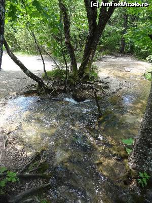 [P53] Lacurile De Sus iti ofera... vrajitorie!  » foto by Marian Preda
 - 
<span class="allrVoted glyphicon glyphicon-heart hidden" id="av561026"></span>
<a class="m-l-10 hidden" id="sv561026" onclick="voting_Foto_DelVot(,561026,412)" role="button">șterge vot <span class="glyphicon glyphicon-remove"></span></a>
<a id="v9561026" class=" c-red"  onclick="voting_Foto_SetVot(561026)" role="button"><span class="glyphicon glyphicon-heart-empty"></span> <b>LIKE</b> = Votează poza</a> <img class="hidden"  id="f561026W9" src="/imagini/loader.gif" border="0" /><span class="AjErrMes hidden" id="e561026ErM"></span>