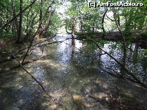 [P55]  -- <small>// FĂRĂ DESCRIERE</small> » foto by Marian Preda
 - 
<span class="allrVoted glyphicon glyphicon-heart hidden" id="av561028"></span>
<a class="m-l-10 hidden" id="sv561028" onclick="voting_Foto_DelVot(,561028,412)" role="button">șterge vot <span class="glyphicon glyphicon-remove"></span></a>
<a id="v9561028" class=" c-red"  onclick="voting_Foto_SetVot(561028)" role="button"><span class="glyphicon glyphicon-heart-empty"></span> <b>LIKE</b> = Votează poza</a> <img class="hidden"  id="f561028W9" src="/imagini/loader.gif" border="0" /><span class="AjErrMes hidden" id="e561028ErM"></span>