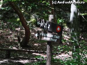 [P56]  -- <small>// FĂRĂ DESCRIERE</small> » foto by Marian Preda
 - 
<span class="allrVoted glyphicon glyphicon-heart hidden" id="av561029"></span>
<a class="m-l-10 hidden" id="sv561029" onclick="voting_Foto_DelVot(,561029,412)" role="button">șterge vot <span class="glyphicon glyphicon-remove"></span></a>
<a id="v9561029" class=" c-red"  onclick="voting_Foto_SetVot(561029)" role="button"><span class="glyphicon glyphicon-heart-empty"></span> <b>LIKE</b> = Votează poza</a> <img class="hidden"  id="f561029W9" src="/imagini/loader.gif" border="0" /><span class="AjErrMes hidden" id="e561029ErM"></span>