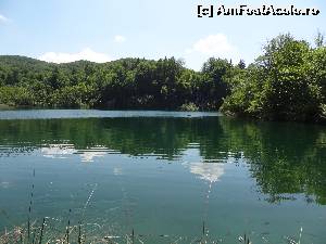 [P59] Lacul Okrugljak » foto by Marian Preda
 - 
<span class="allrVoted glyphicon glyphicon-heart hidden" id="av561033"></span>
<a class="m-l-10 hidden" id="sv561033" onclick="voting_Foto_DelVot(,561033,412)" role="button">șterge vot <span class="glyphicon glyphicon-remove"></span></a>
<a id="v9561033" class=" c-red"  onclick="voting_Foto_SetVot(561033)" role="button"><span class="glyphicon glyphicon-heart-empty"></span> <b>LIKE</b> = Votează poza</a> <img class="hidden"  id="f561033W9" src="/imagini/loader.gif" border="0" /><span class="AjErrMes hidden" id="e561033ErM"></span>