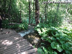 [P61]  -- <small>// FĂRĂ DESCRIERE</small> » foto by Marian Preda
 - 
<span class="allrVoted glyphicon glyphicon-heart hidden" id="av561037"></span>
<a class="m-l-10 hidden" id="sv561037" onclick="voting_Foto_DelVot(,561037,412)" role="button">șterge vot <span class="glyphicon glyphicon-remove"></span></a>
<a id="v9561037" class=" c-red"  onclick="voting_Foto_SetVot(561037)" role="button"><span class="glyphicon glyphicon-heart-empty"></span> <b>LIKE</b> = Votează poza</a> <img class="hidden"  id="f561037W9" src="/imagini/loader.gif" border="0" /><span class="AjErrMes hidden" id="e561037ErM"></span>